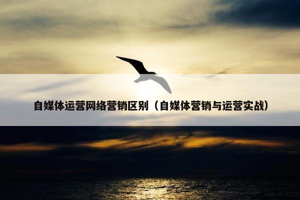 自媒体运营网络营销区别（自媒体营销与运营实战）