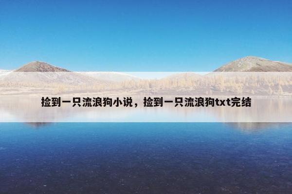 捡到一只流浪狗小说，捡到一只流浪狗txt完结