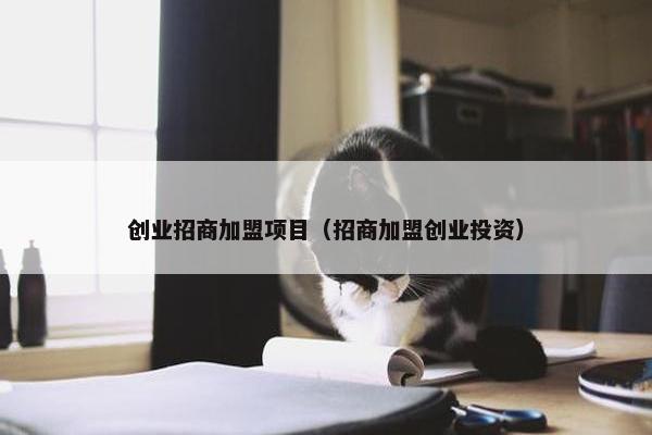 创业招商加盟项目（招商加盟创业投资）