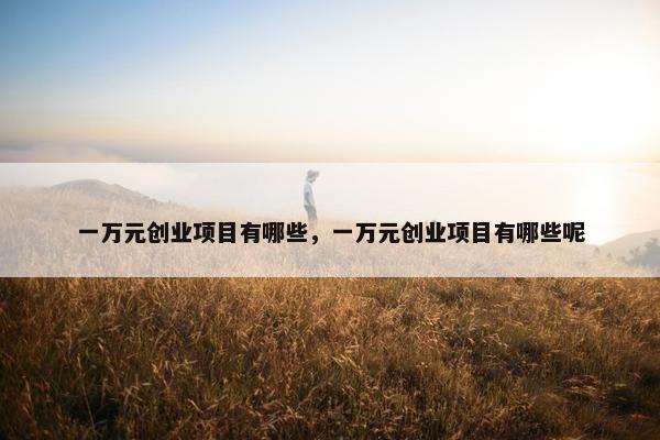 一万元创业项目有哪些，一万元创业项目有哪些呢