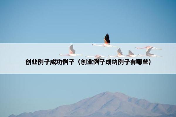 创业例子成功例子（创业例子成功例子有哪些）