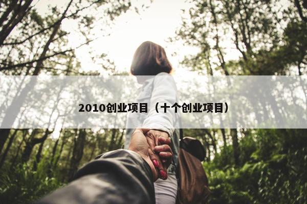 2010创业项目（十个创业项目）