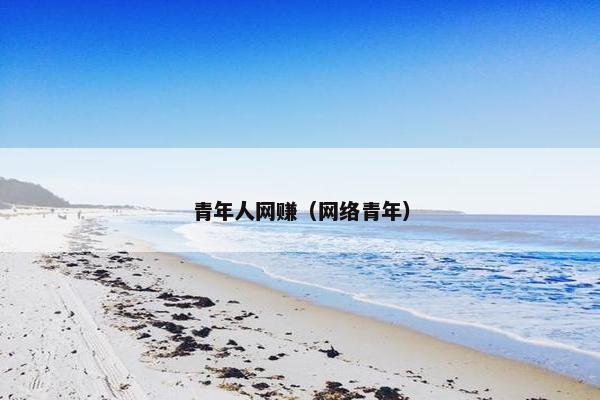 青年人网赚（网络青年）