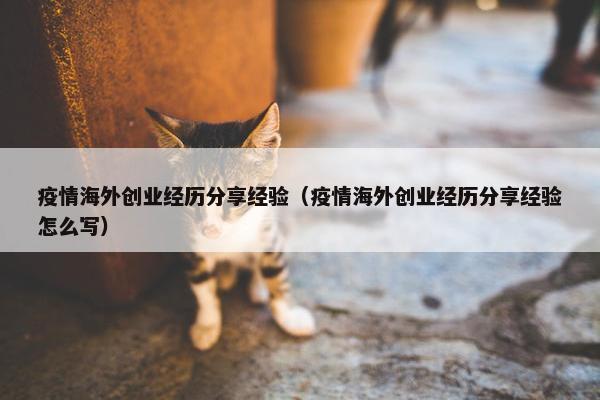 疫情海外创业经历分享经验（疫情海外创业经历分享经验怎么写）