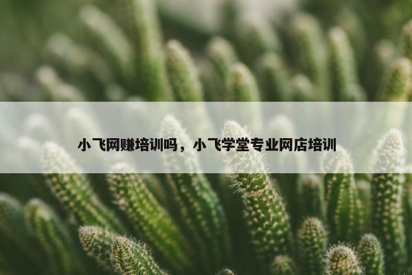 小飞网赚培训吗，小飞学堂专业网店培训