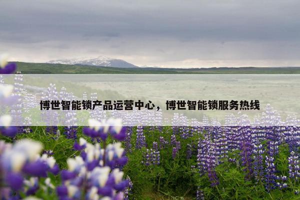 博世智能锁产品运营中心，博世智能锁服务热线