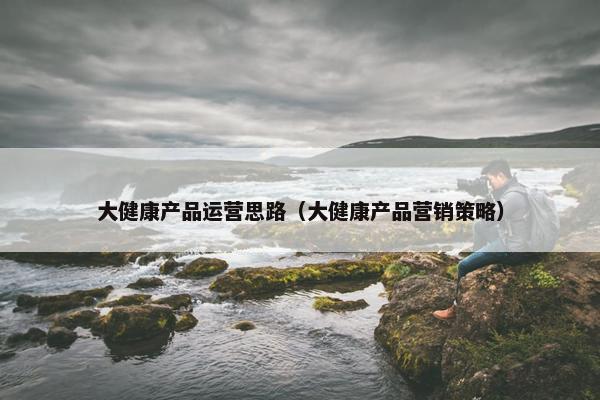 大健康产品运营思路（大健康产品营销策略）