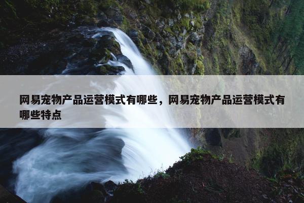 网易宠物产品运营模式有哪些，网易宠物产品运营模式有哪些特点
