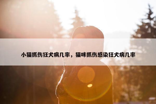 小猫抓伤狂犬病几率，猫咪抓伤感染狂犬病几率