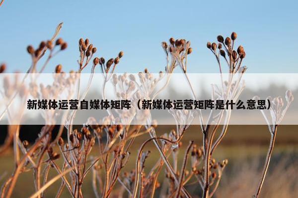 新媒体运营自媒体矩阵（新媒体运营矩阵是什么意思）