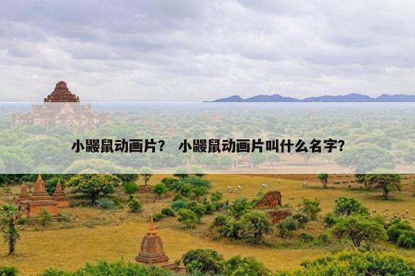 小鼹鼠动画片？ 小鼹鼠动画片叫什么名字？