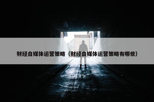 财经自媒体运营策略（财经自媒体运营策略有哪些）