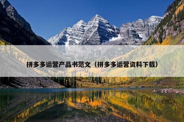 拼多多运营产品书范文（拼多多运营资料下载）