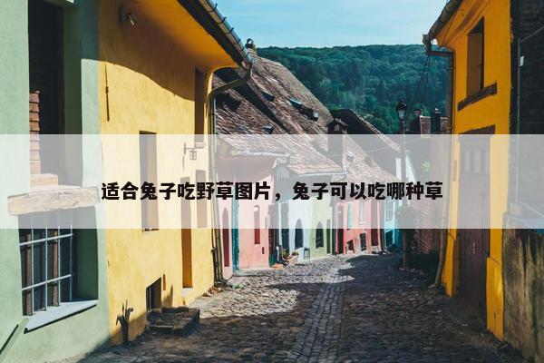 适合兔子吃野草图片，兔子可以吃哪种草