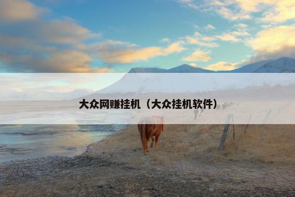 大众网赚挂机（大众挂机软件）