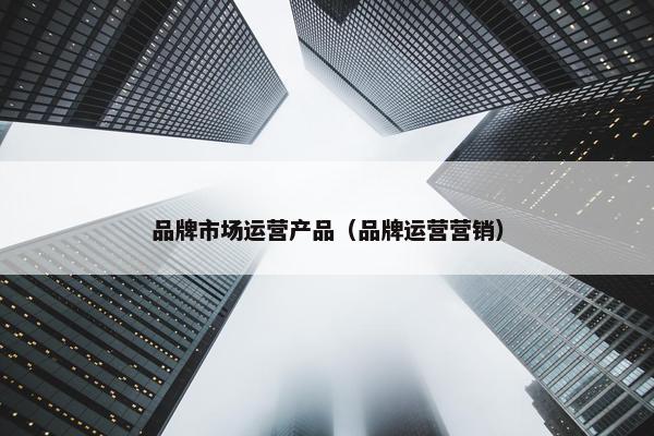 品牌市场运营产品（品牌运营营销）
