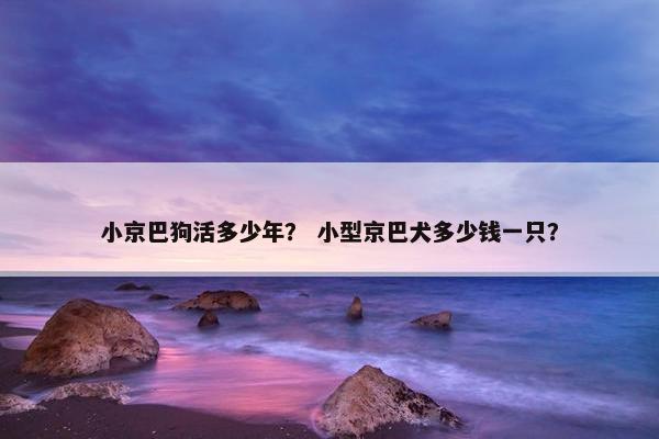 小京巴狗活多少年？ 小型京巴犬多少钱一只？