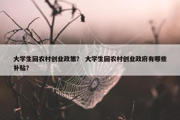 大学生回农村创业政策？ 大学生回农村创业政府有哪些补贴？