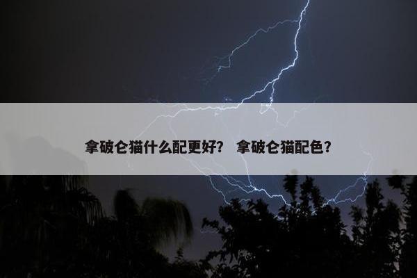 拿破仑猫什么配更好？ 拿破仑猫配色？