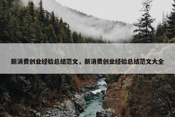 新消费创业经验总结范文，新消费创业经验总结范文大全