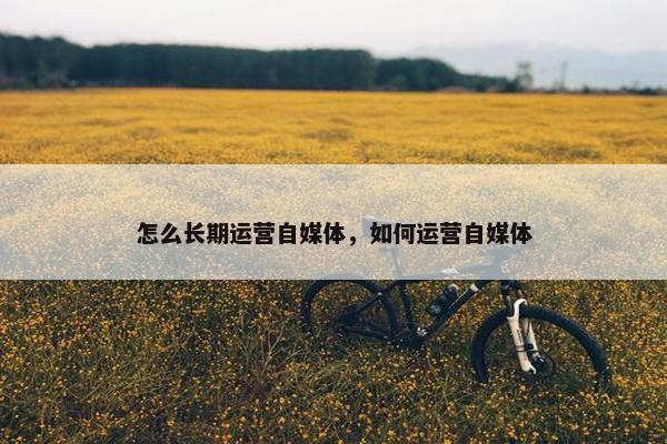 怎么长期运营自媒体，如何运营自媒体