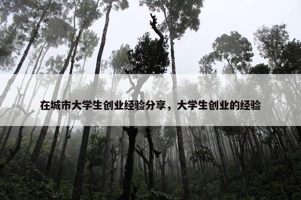 在城市大学生创业经验分享，大学生创业的经验