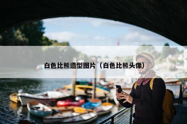 白色比熊造型图片（白色比熊头像）