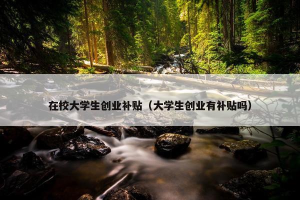 在校大学生创业补贴（大学生创业有补贴吗）