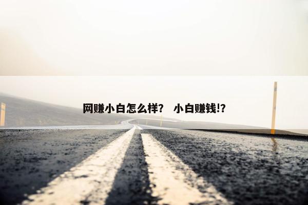 网赚小白怎么样？ 小白赚钱!？