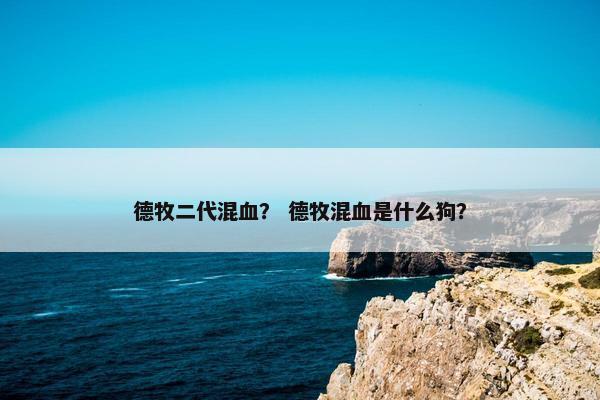 德牧二代混血？ 德牧混血是什么狗？