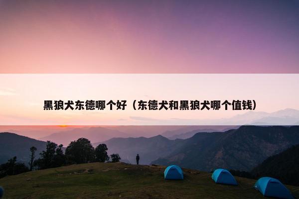 黑狼犬东德哪个好（东德犬和黑狼犬哪个值钱）