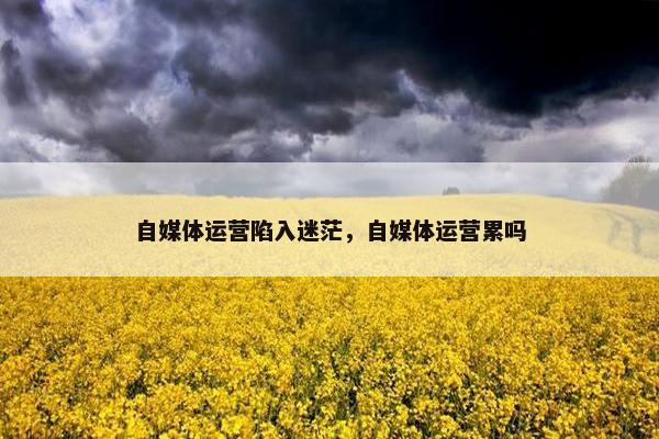自媒体运营陷入迷茫，自媒体运营累吗