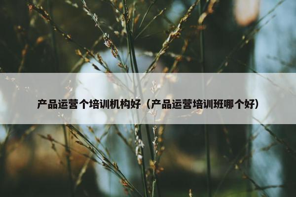 产品运营个培训机构好（产品运营培训班哪个好）