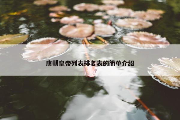 唐朝皇帝列表排名表的简单介绍