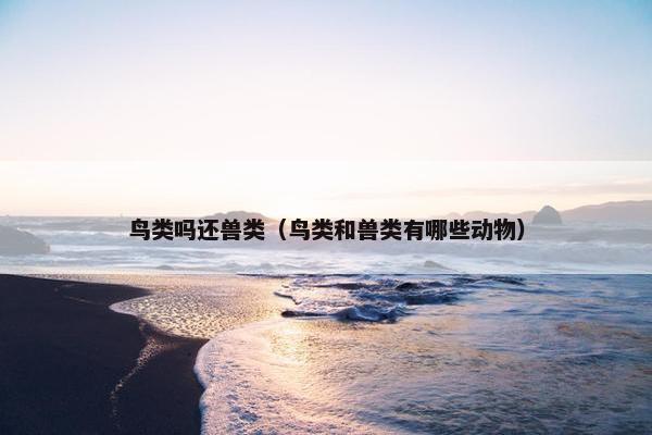 鸟类吗还兽类（鸟类和兽类有哪些动物）