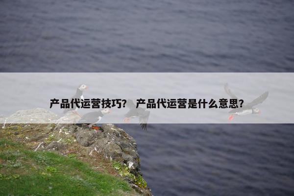 产品代运营技巧？ 产品代运营是什么意思？