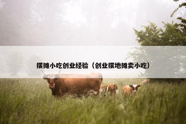 摆摊小吃创业经验（创业摆地摊卖小吃）