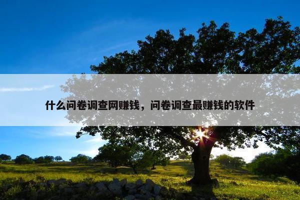 什么问卷调查网赚钱，问卷调查最赚钱的软件