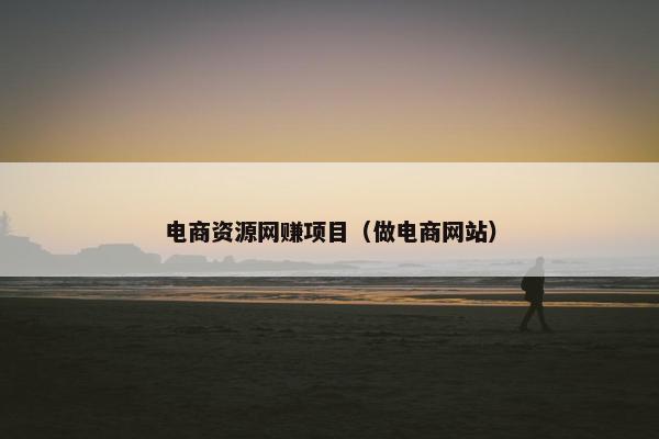 电商资源网赚项目（做电商网站）