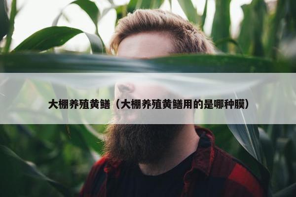大棚养殖黄鳝（大棚养殖黄鳝用的是哪种膜）