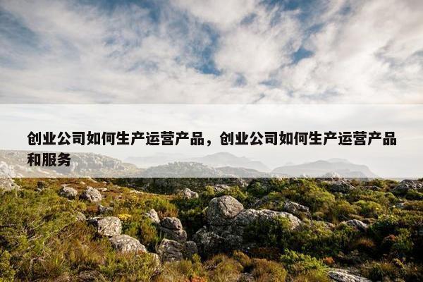 创业公司如何生产运营产品，创业公司如何生产运营产品和服务
