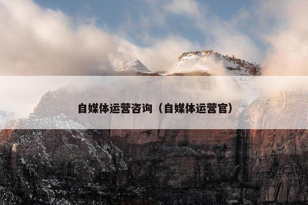 自媒体运营咨询（自媒体运营官）