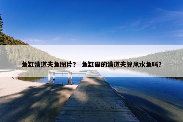 鱼缸清道夫鱼图片？ 鱼缸里的清道夫算风水鱼吗？