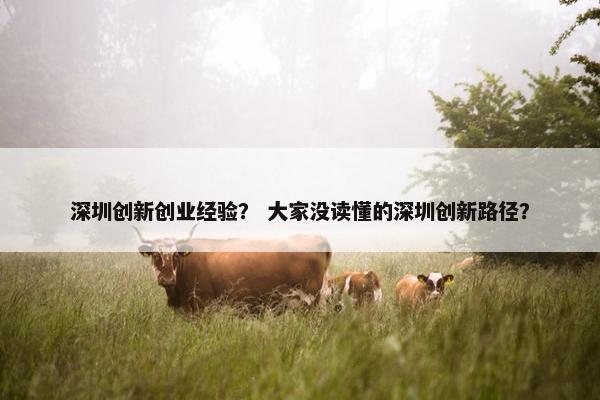 深圳创新创业经验？ 大家没读懂的深圳创新路径？