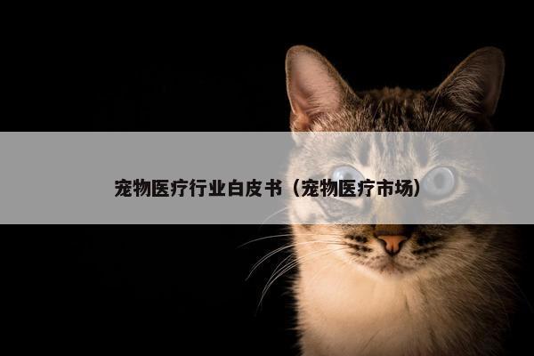 宠物医疗行业白皮书（宠物医疗市场）