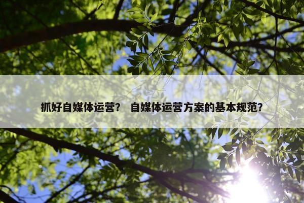 抓好自媒体运营？ 自媒体运营方案的基本规范？