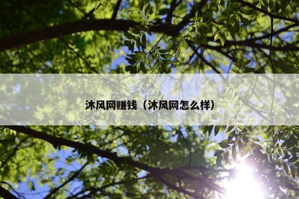 沐风网赚钱（沐风网怎么样）