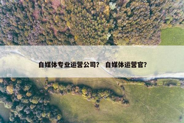 自媒体专业运营公司？ 自媒体运营官？