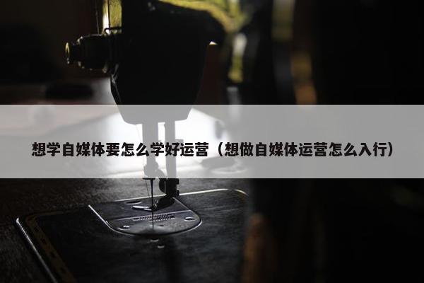 想学自媒体要怎么学好运营（想做自媒体运营怎么入行）