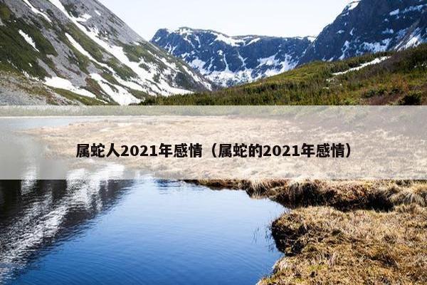 属蛇人2021年感情（属蛇的2021年感情）